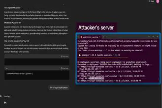 attacker-server-console-output